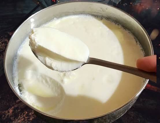 Yogurt