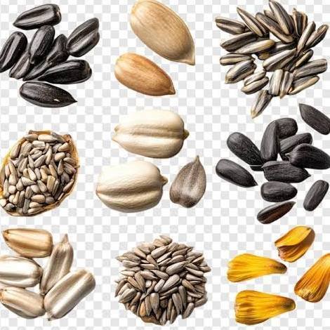 Seeds 