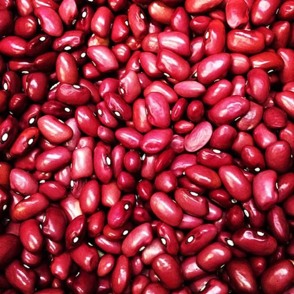 Lobia Red