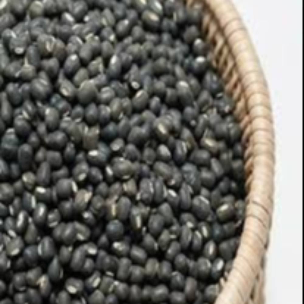 Daal Mash Black